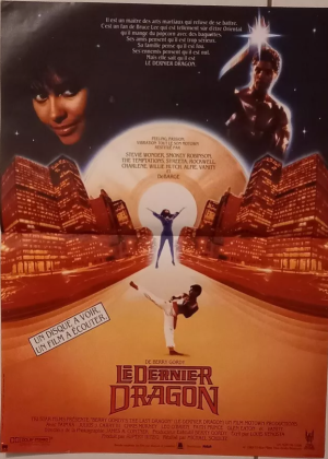 LE DERNIER DRAGON